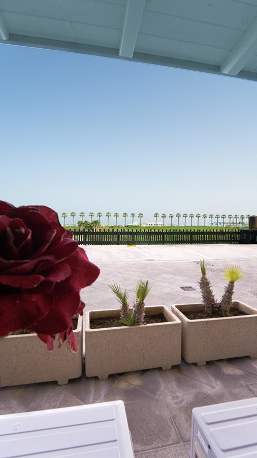 La Palma Del Sol - Gallery