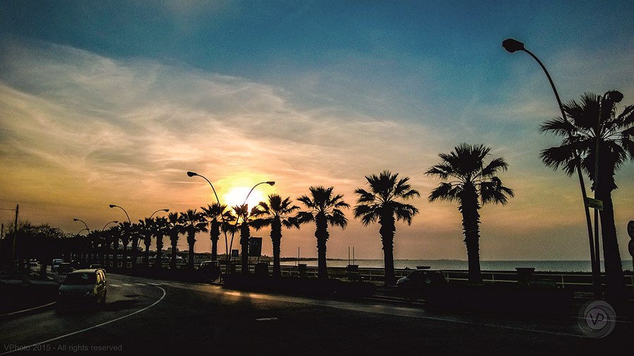 La Palma Del Sol - Gallery